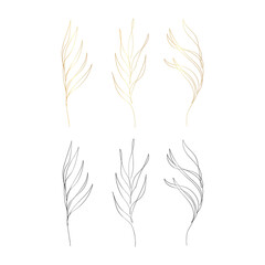 Set of elegant palm branches isolated on white background. Black and golden colors. Continuous line drawing tropical plant. Floral sketch. Vector illustration in minimal style.