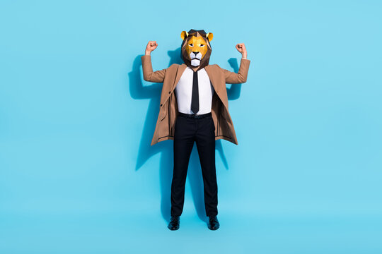 Full length photo of boss guy lion mask demonstrate muscular powerful body theme event isolated over blue color background