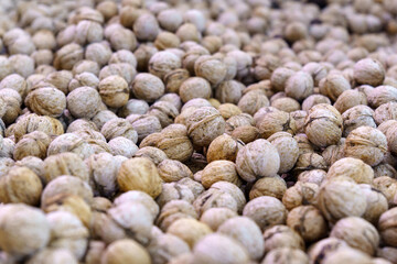 The harvest of walnuts. The concept of healthy organic food.