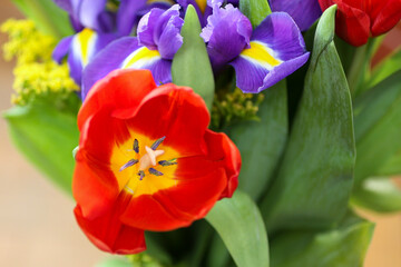 Naklejka premium Closeup photo of the fresh red tulip on the spring flowers bouquet background. Women's day gift backdrop