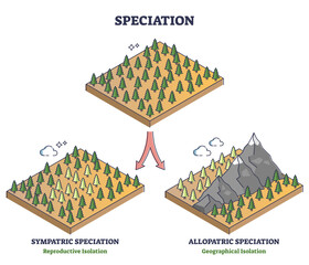 Speciation process with sympatric and allopatric division outline diagram. Labeled educational reproductive and geographical isolation examples with forest trees evolution models vector illustration. - obrazy, fototapety, plakaty