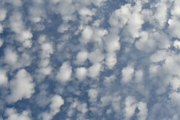 Obraz premium Cloudy Blue Sky