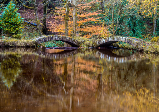 The Pond at Sunnyhurst Woods, Darwen, Lancashire, UK