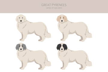Great Pyrenees clipart. Different poses, coat colors set