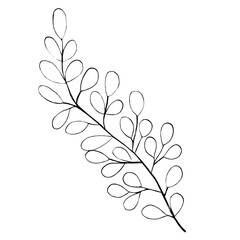 Botanical illustration of leaves in a line style for floral patterns, bouquets and compositions on a white background. Elements for greeting cards.