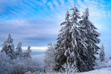 View of a snow-covered landscape on the Großer Feldberg in Taunus / Germany