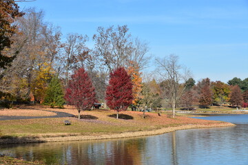 autumn landscape with trees and lake