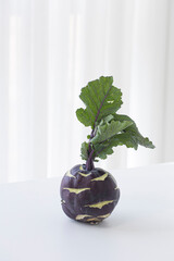 Cabbage kohlrabi isolated on white background.