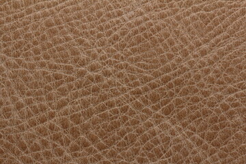 natural leather texture