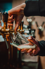 bartender hand at beer tap pouring a draught beer in glass serving in a bar or pub