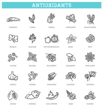 Antioxidant food, herbs and spices. healthy lifestyle.