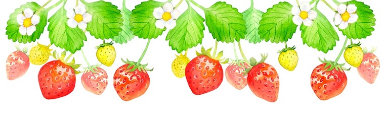イチゴの水彩イラスト