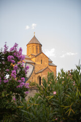 myrtle bush and a majestic temple near Rike Park in Tbilisi
