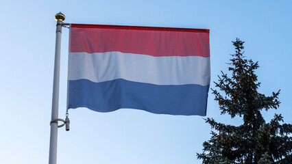 National flag of Holland on a flagpole in front of blue sky with sun rays, lens flare and tree. Diplomacy concept.