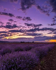 Deurstickers Auvergne lavendelveld bij zonsondergang © Fabien