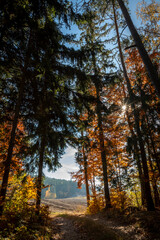 Fototapeta premium autumn scenery in the Waldviertel, Lower Austria, Austria
