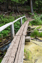 A wooden bridge over water on the Trout Lake trail in Yellowstone National Park