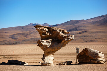 Fototapeta na wymiar Arbol de Piedra is an isolated stone formation in the Eduardo Avaroa National Reserve.