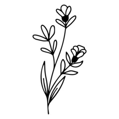 Flower Line Art