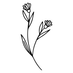 Flower Line Art