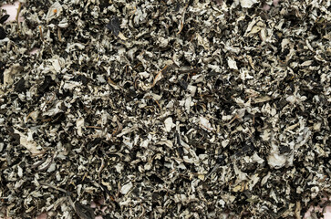 Organic dry herbal tea leaves, close up. Dried teas pattern.