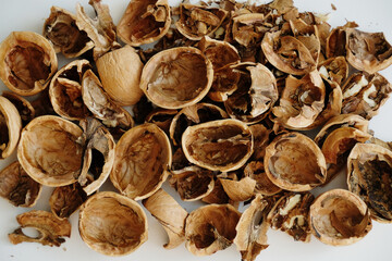 Dry walnut shell close up, texture background