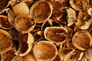 Dry walnut shell close up, texture background