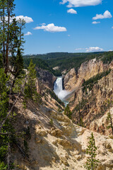 The Lower Falls waterfall on the Yellowstone River crashes down in the Grand Canyon of the Yellowstone in Yellowstone National Park in Wyoming