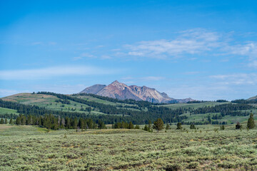 The Lamar Valley of Yellowstone National Park in Wyoming, Montana on a sunny summer morning, with mountains, prairie, sagebrush, and trees