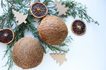original christmas greeting card. coconuts with fir branches and christmas tree decorations