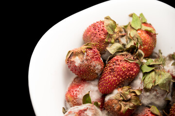 full plate of ripe red strawberries with mold lie in a white tarek on a black background isolate