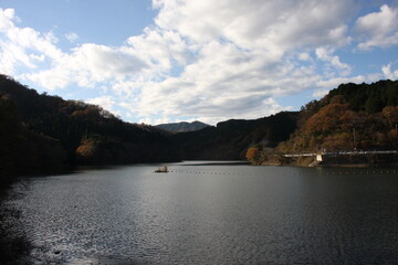 Fototapeta premium 湖と森