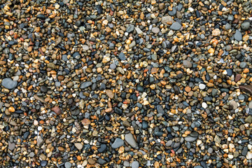 Background texture wet sea pebbles, top view