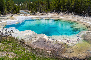 Colorful hot spring in Norris Geyser Basin in Yellowstone National Park