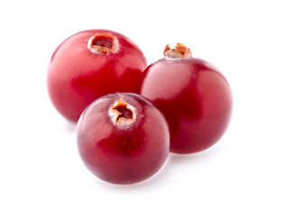 Cranberry isolated on white background. Ripe berries isolated.
