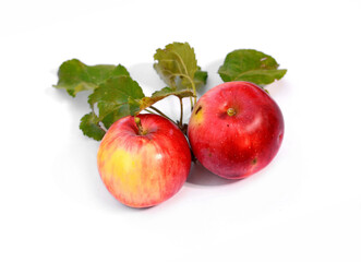 apple fruit closeup isolated on white background