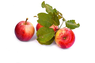 apple fruit closeup isolated on white background