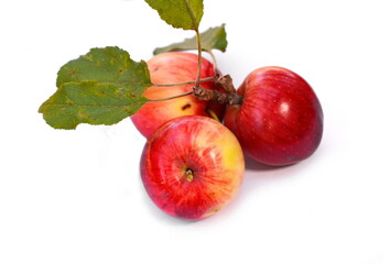 apple fruit closeup isolated on white background