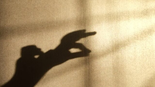 Child playing with shadow on wall, having fun