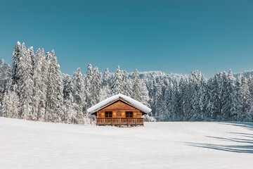 Berghütte in einem verschneiten Wald