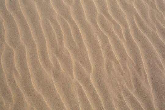 sand texture,Beach sand,Sand Texture for Summer Background.