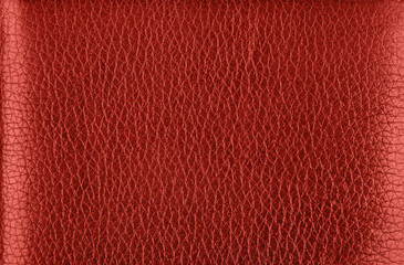 Background texture of red natural leather grain