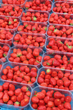 Barquette de fraises	
