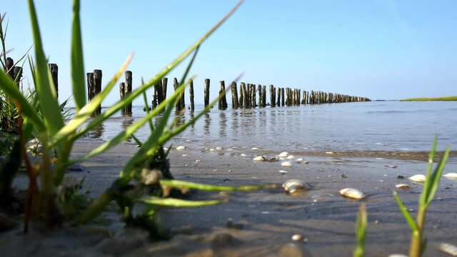 Buhnen im Watt an der Nordseek&uuml;ste - Nordsee K&uuml;ste bei Westerhever