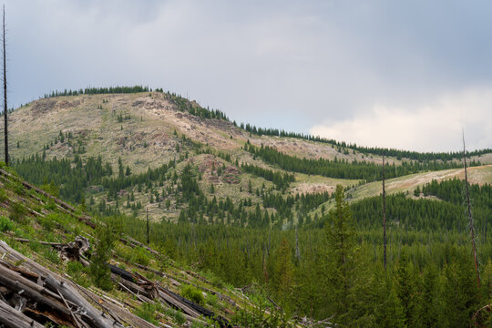 The backcountry of Yellowstone National Park on Fairy Falls hiking trail on a summer day in Wyoming