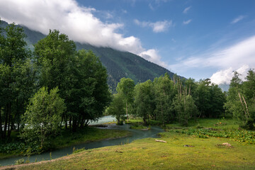 mountain river in the green valley of arkhyz and beautiful clouds
