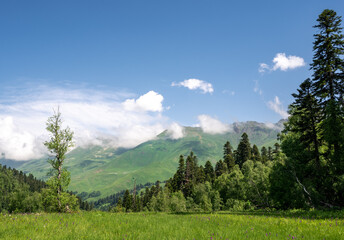 green mountain valley in arkhyz and beautiful clouds