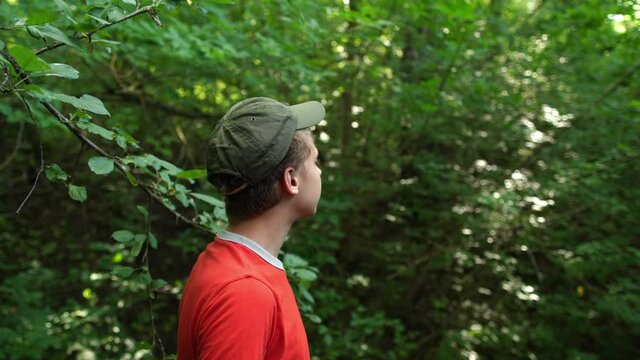 4k stock video footage of young kid looking around in green old summer forest