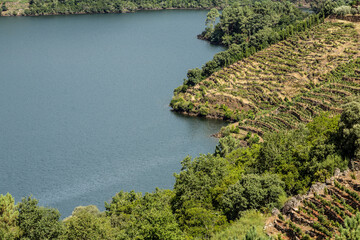 Panoramic views of the Sil canyons in Galicia Spain