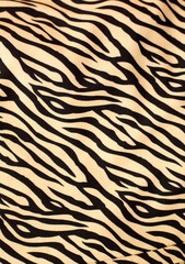 Beginning and celebration concepts with tiger pattern fabric. Happy New Year concept.